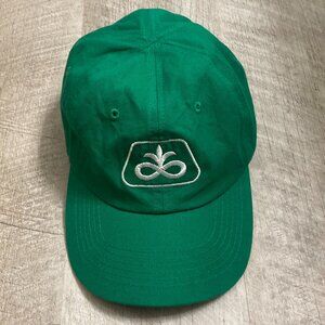 Pioneer Seed Green Baseball Hat/Cap - Youth Size
